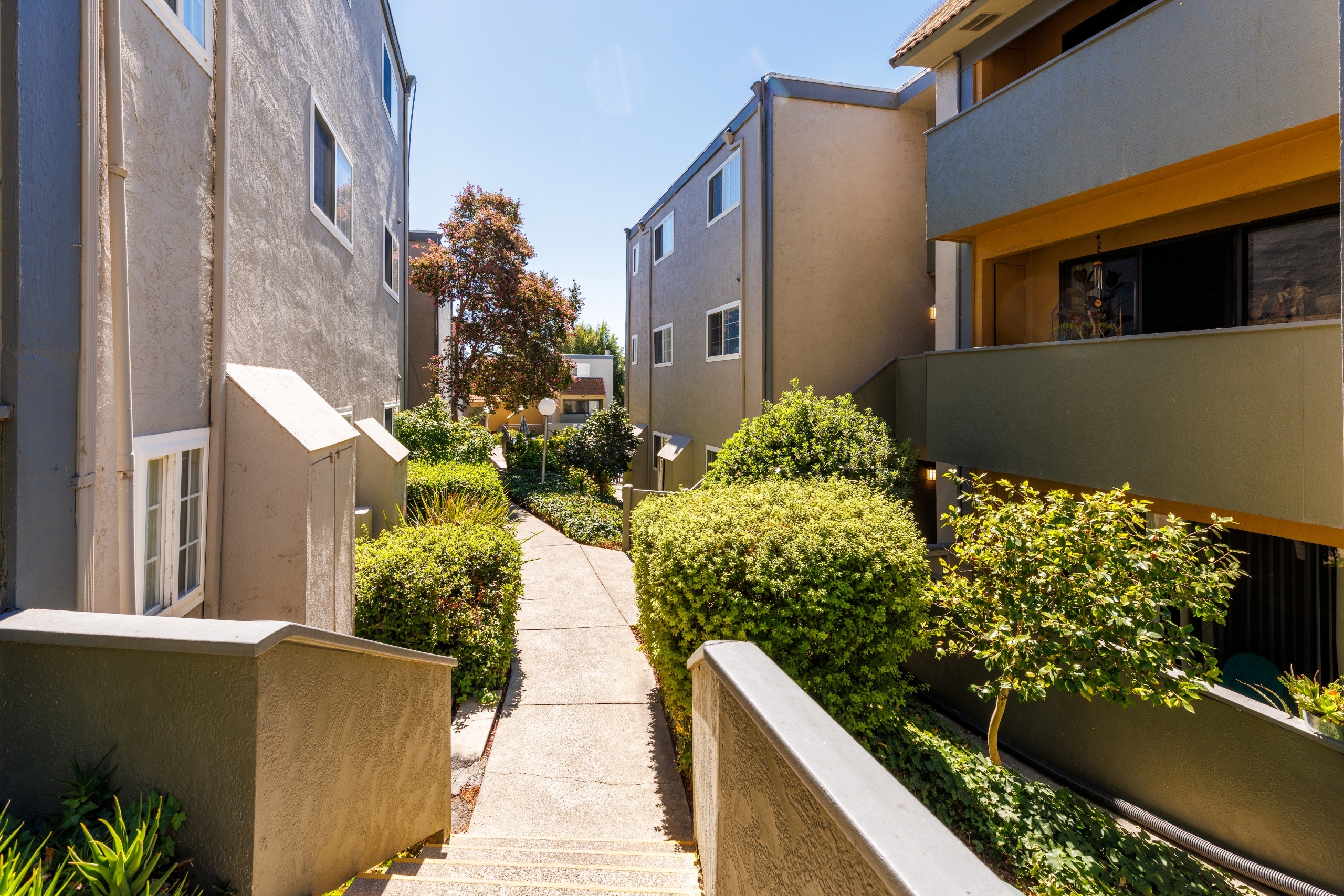2BR/1BA Apartment on Laguna St · Concord photo 5